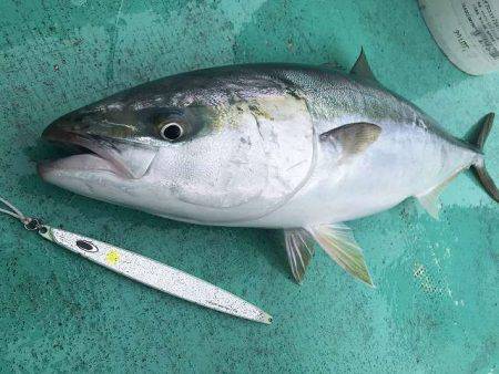 広進丸 釣果