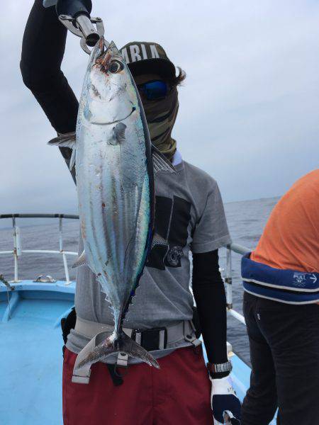 松鶴丸 釣果