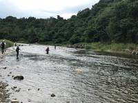 秩父フライフィールド 釣果