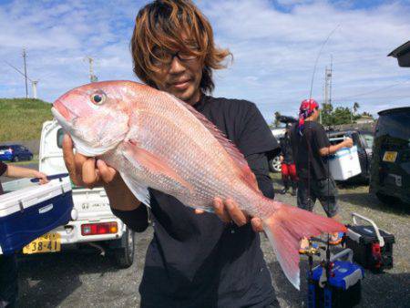 太平丸 釣果