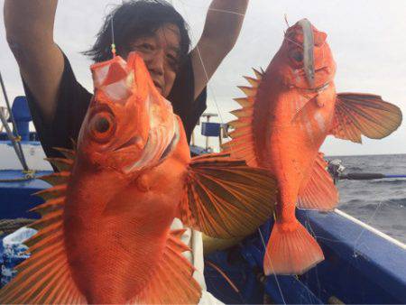 敷嶋丸 釣果