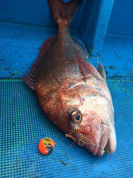 太平丸 釣果