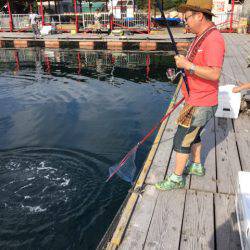 釣り堀水宝 釣果