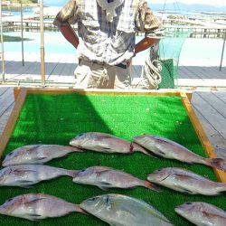 海の釣堀 海恵 釣果