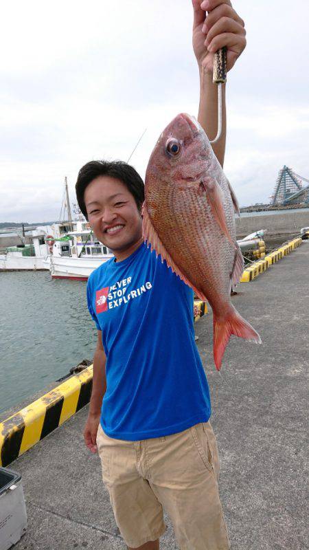 だて丸 釣果