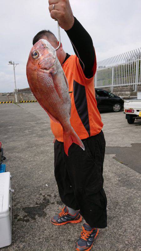 だて丸 釣果