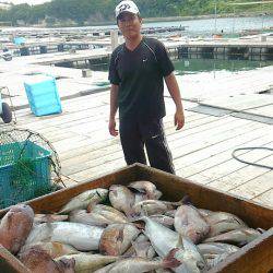 海の釣堀 海恵 釣果