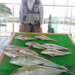 海の釣堀 海恵 釣果