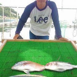 海の釣堀 海恵 釣果