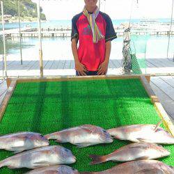 海の釣堀 海恵 釣果