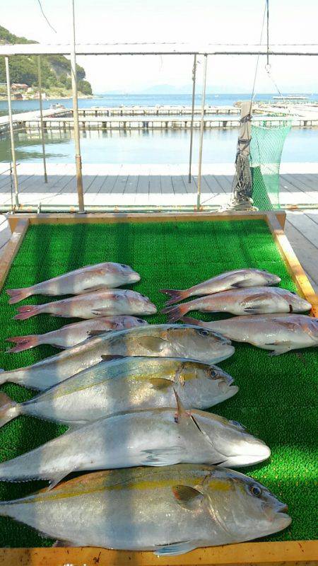 海の釣堀 海恵 釣果