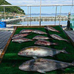 海の釣堀 海恵 釣果