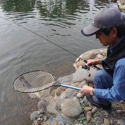 つりぼりあかし 釣果