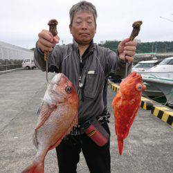 だて丸 釣果