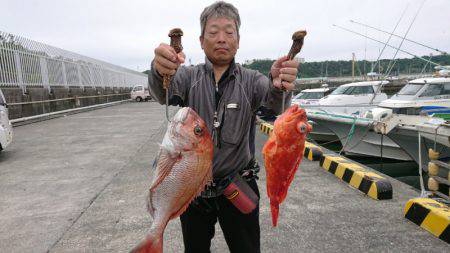 だて丸 釣果