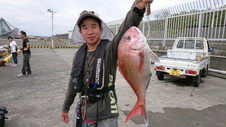 だて丸 釣果