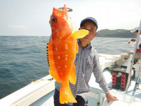 きずなまりん 釣果