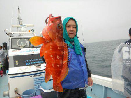 きずなまりん 釣果