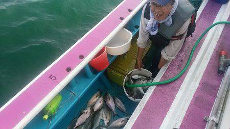 ぽん助丸 釣果