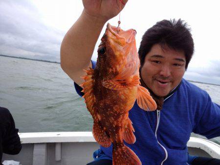 ひな丸 釣果