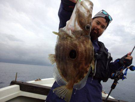 ひな丸 釣果