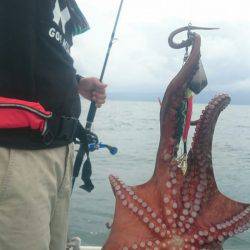 シースナイパー海龍 釣果