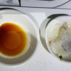 珀宝丸 釣果