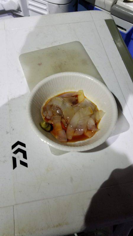 珀宝丸 釣果