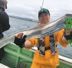 橋安丸 釣果