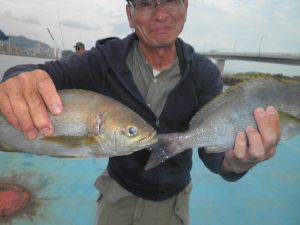 美咲丸 釣果