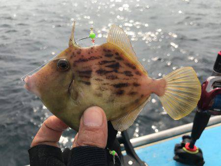 カワハギ船で惨敗！