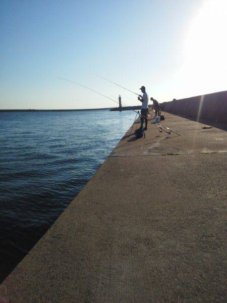 太刀魚とカマス・・・