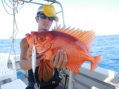 随功丸 釣果