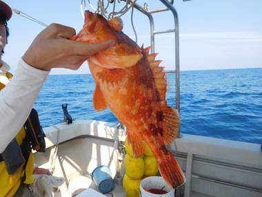 随功丸 釣果