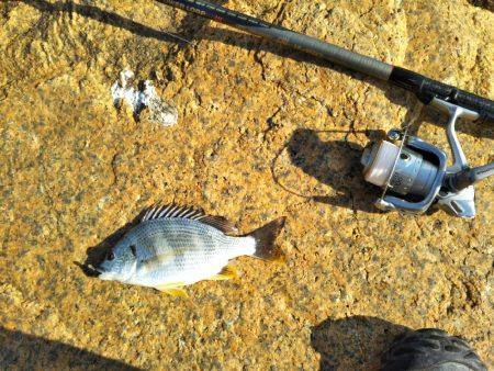 小物釣り