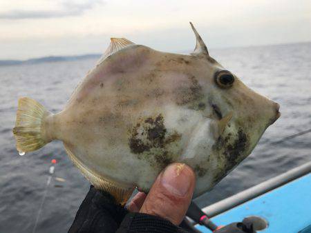 カワハギ船で惨敗！