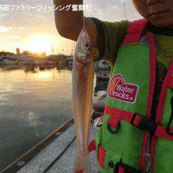 ハゼ調査も兼ねてキス釣り