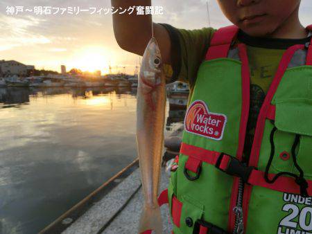 ハゼ調査も兼ねてキス釣り