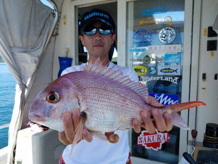 遊漁船　ニライカナイ 釣果