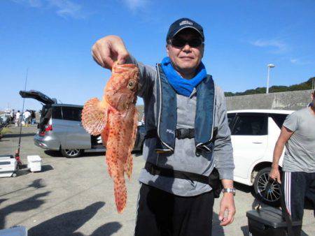 大進丸（新潟） 釣果