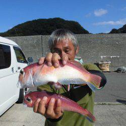 大進丸（新潟） 釣果