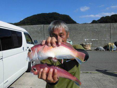 大進丸（新潟） 釣果