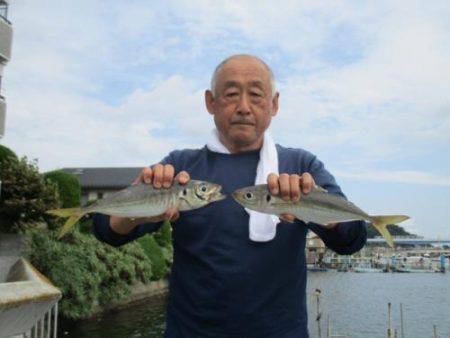 あい川丸 釣果