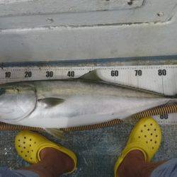 釣り船武蔵 釣果