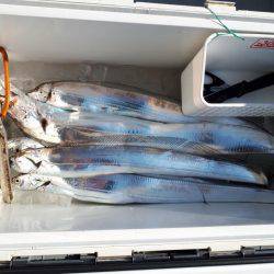 釣り船くわだ 釣果