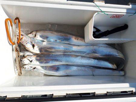 釣り船くわだ 釣果