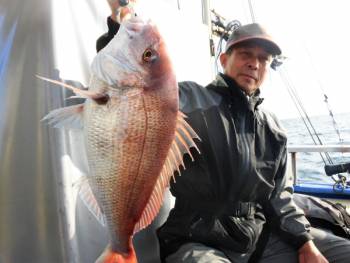 鯛紅丸 釣果