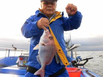 鯛紅丸 釣果