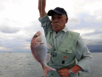 鯛紅丸 釣果