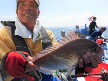 鯛紅丸 釣果